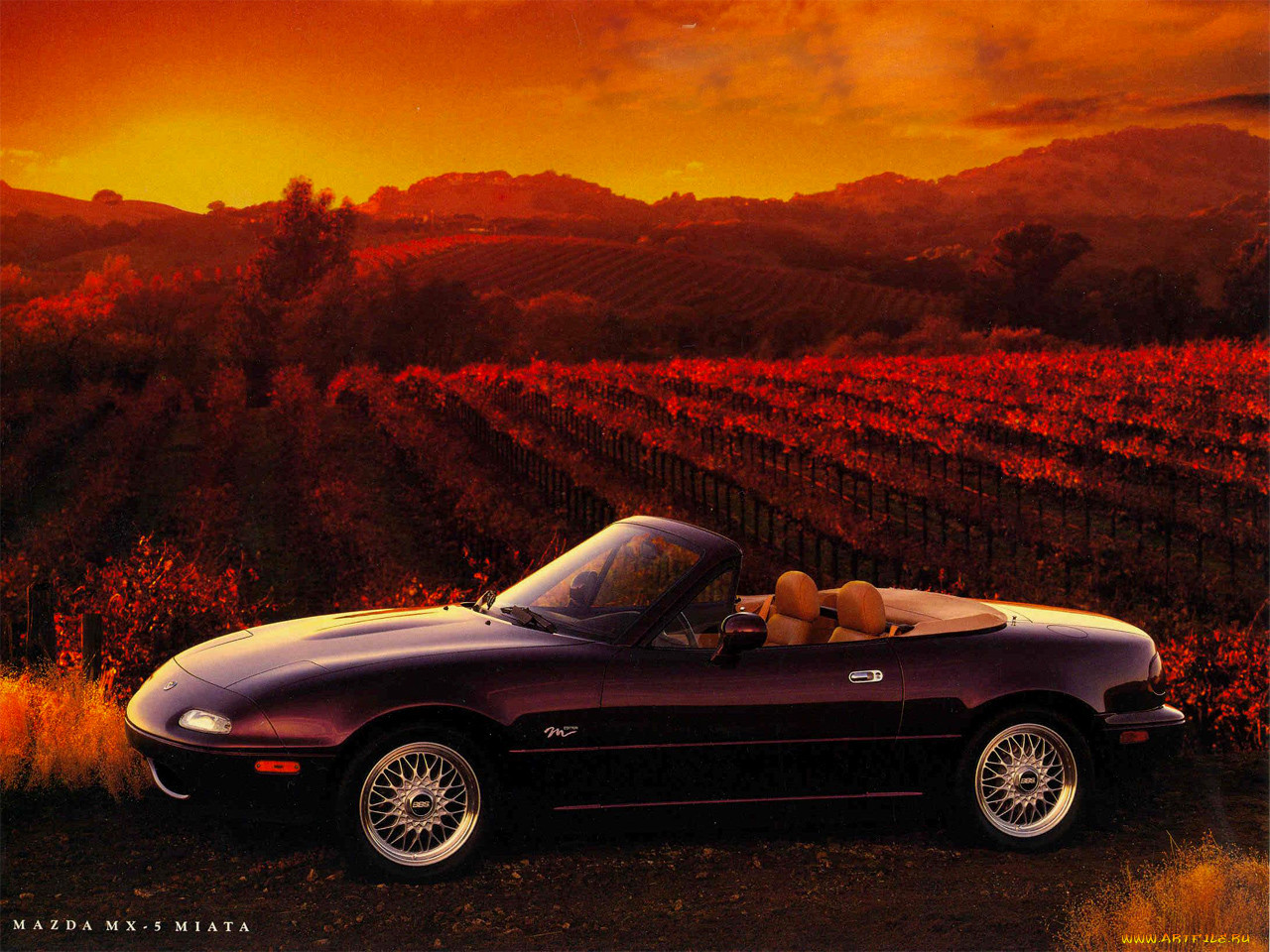 , mazda